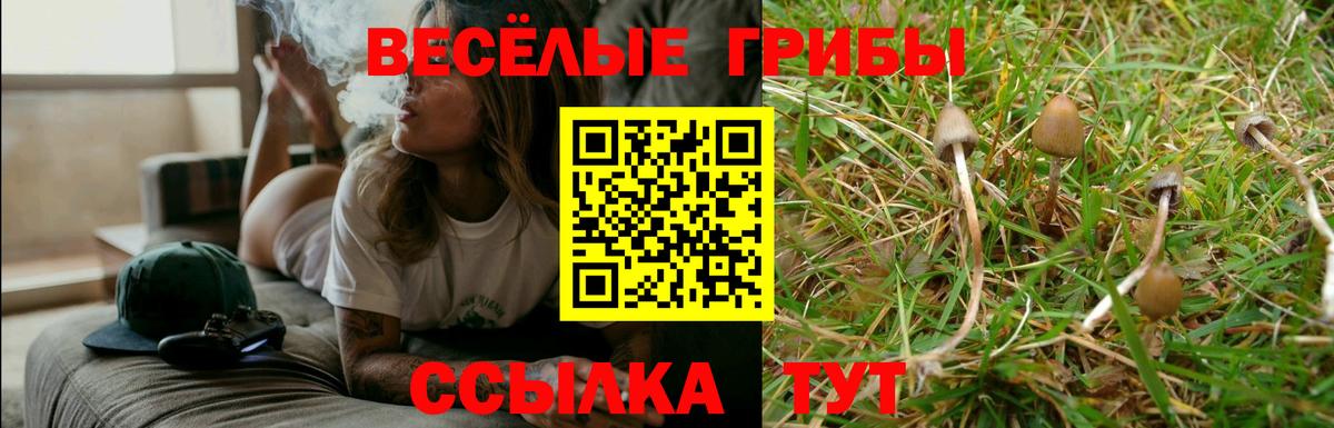 Галлюциногенные грибы Magic Shrooms Ишим
