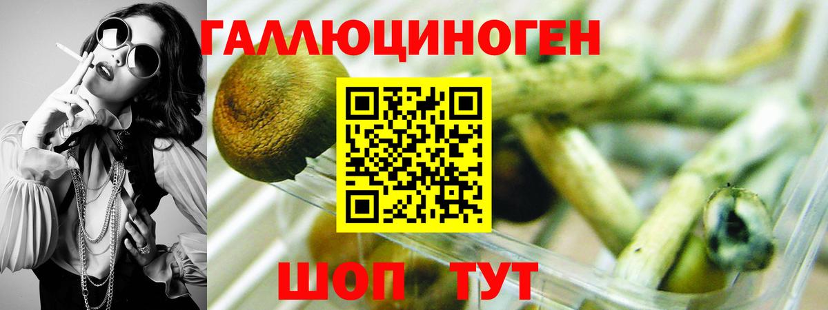 закладки  Галлюциногенные грибы мицелий  Вход с VPN  Ишим 